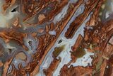 Polished Wyoming Youngite Agate/Jasper Slab - Fluorescent #152116-1